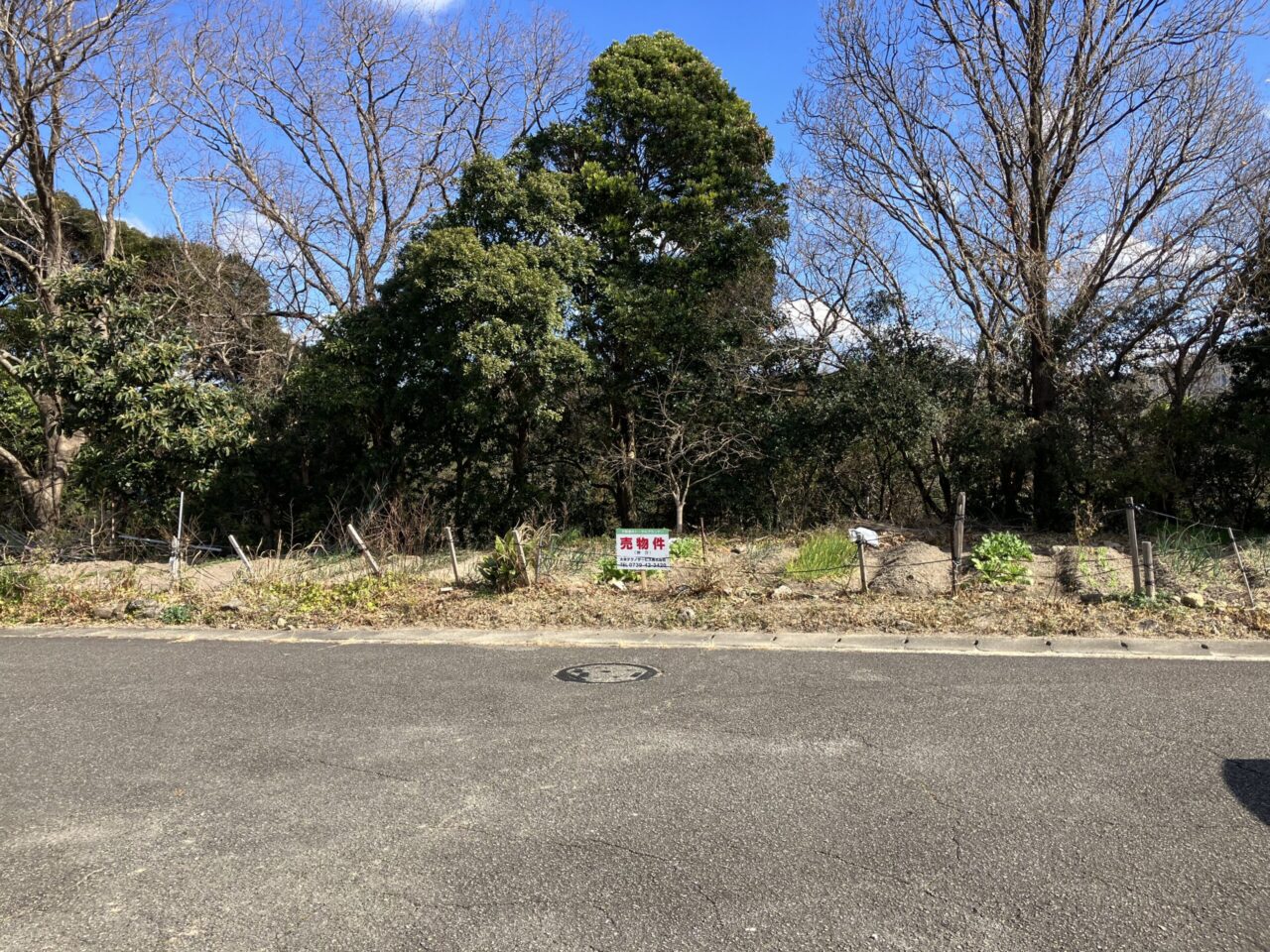 オレンジランド　Ⅰ期　（355）画像1枚目