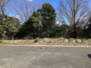オレンジランド　Ⅰ期　（355）画像1枚目
